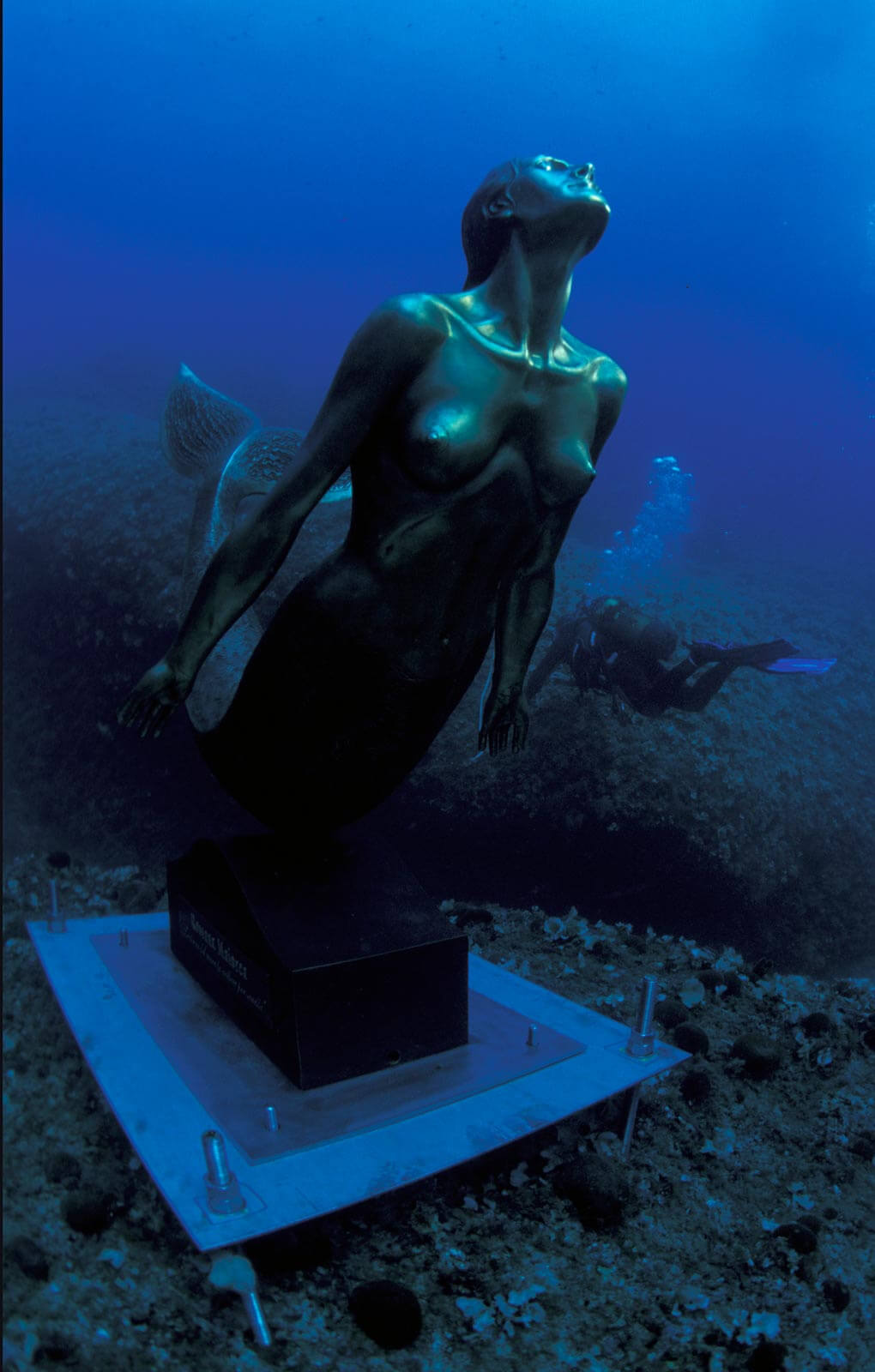 Sirena di Sicilia 11